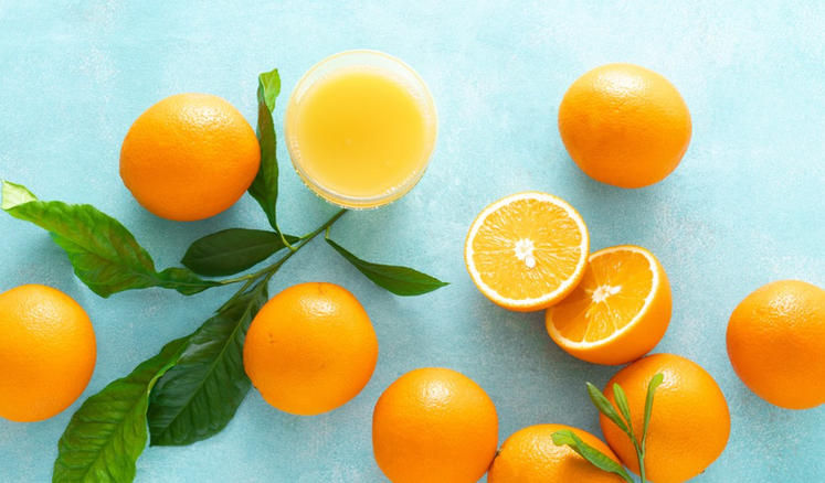 甘肃工大新星教育科技有限公司轮播图1