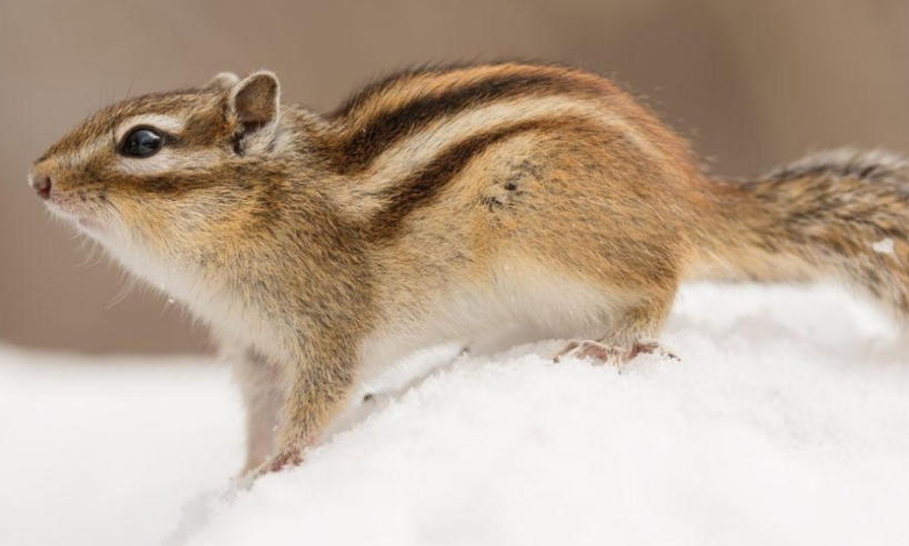 甘肃工大新星教育科技有限公司轮播图5