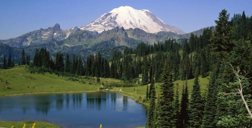 甘肃工大新星教育科技有限公司轮播图2